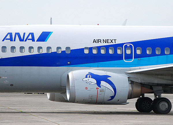 ANA Air Next Boeing 737